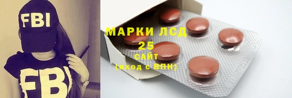гашик Бородино
