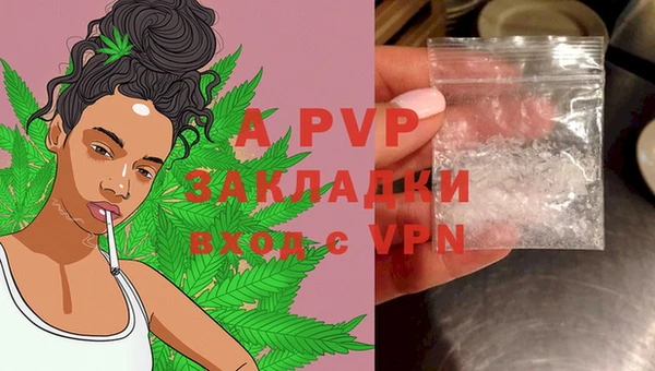 гашик Бородино