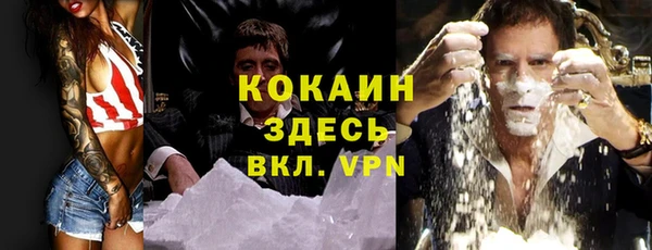 гашик Бородино