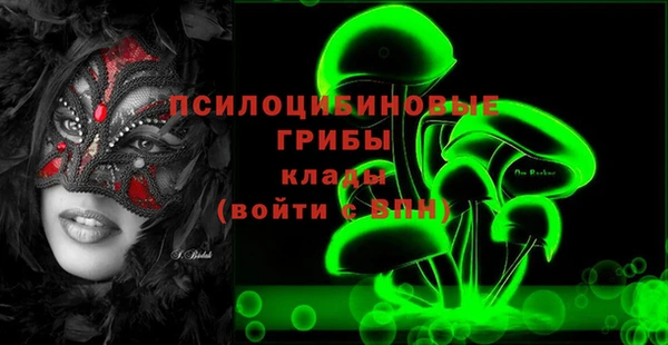 гашик Бородино