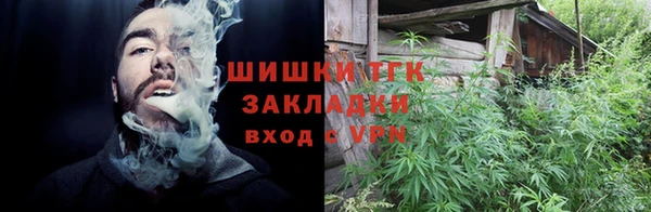 гашик Бородино