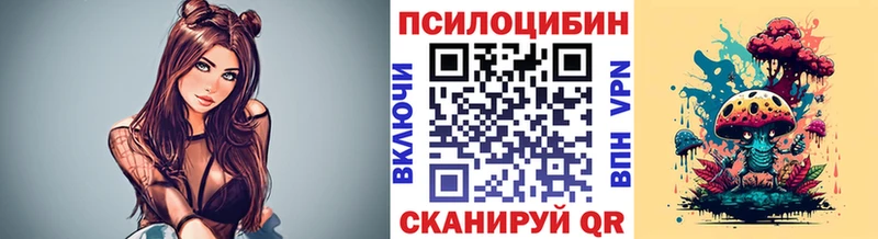 Купить  Гаджиево  Галлюциногенные грибы GOLDEN TEACHER 