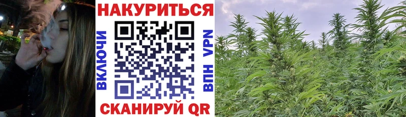 Купить где  Гаджиево  Бошки марихуана SATIVA & INDICA 